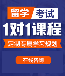 嗯啊好爽用力啊啊干我插我逼啊～视频留学考试一对一精品课